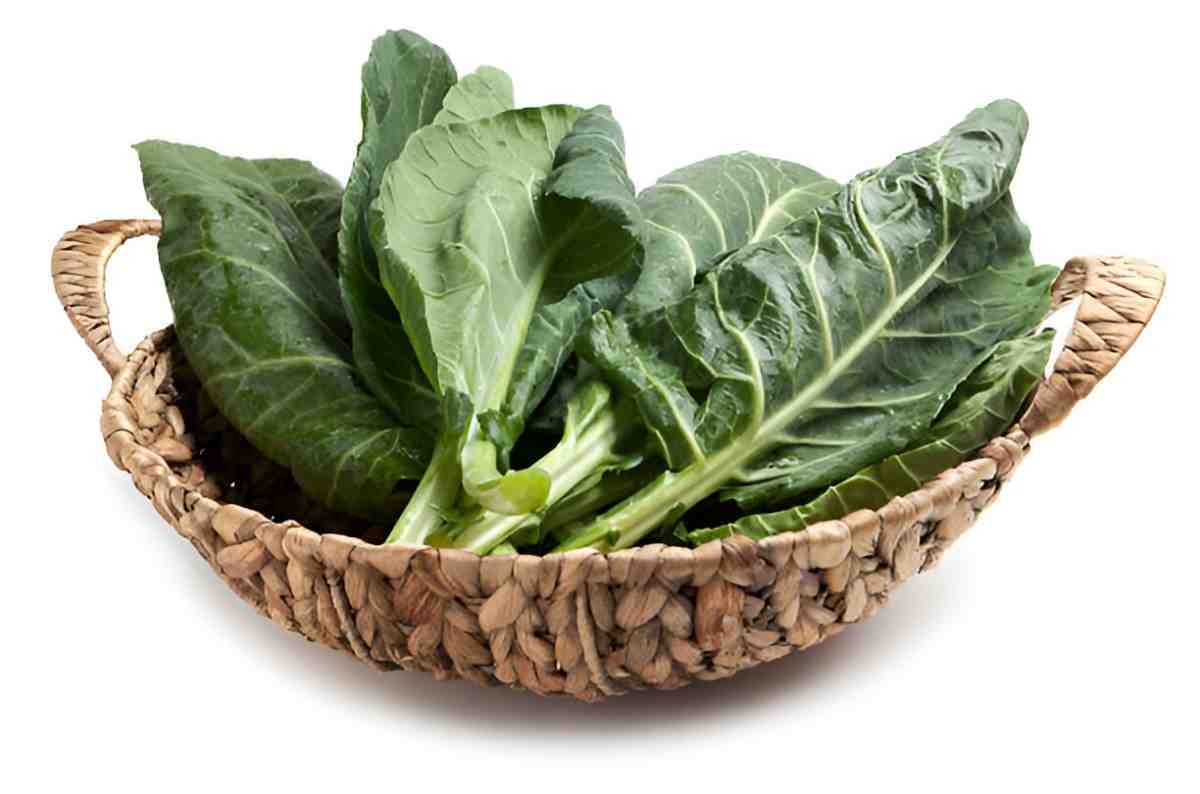 The Health Benefits of Collard Greens Nutritional Powerhouse for Wellness