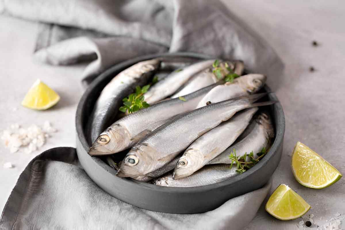 The Health Benefits of Sardines