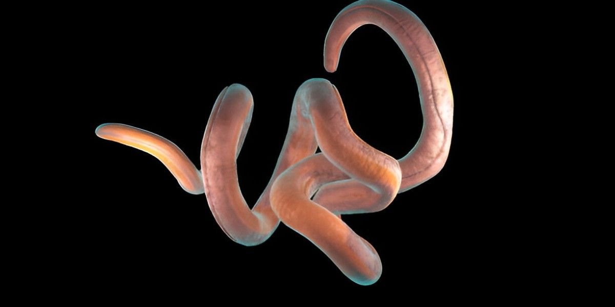 Treating Pinworms