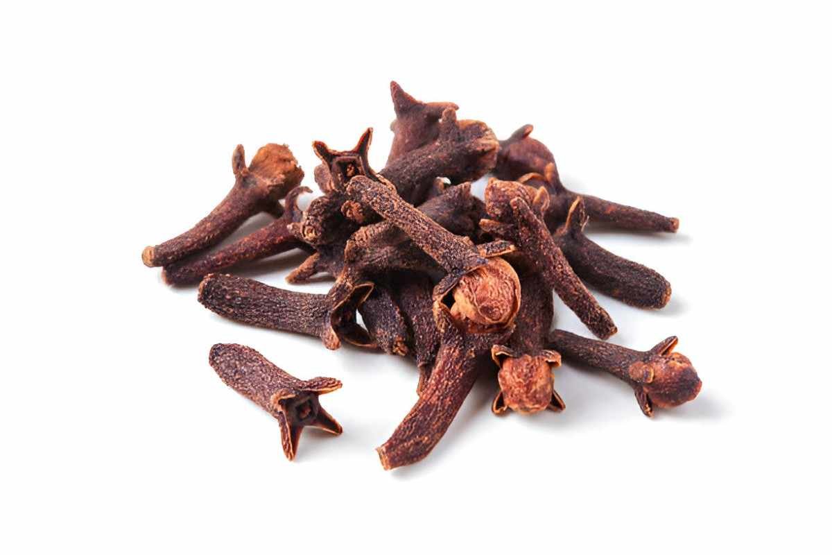 Unlocking the Health Potentials of Cloves Nature's Tiny Powerhouse