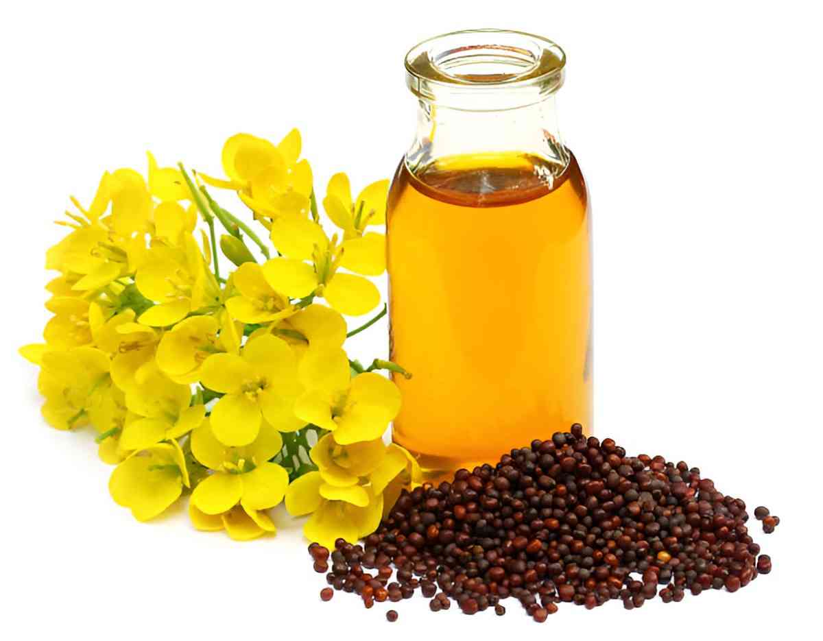 Unveiling the Health Benefits of Mustard Oil