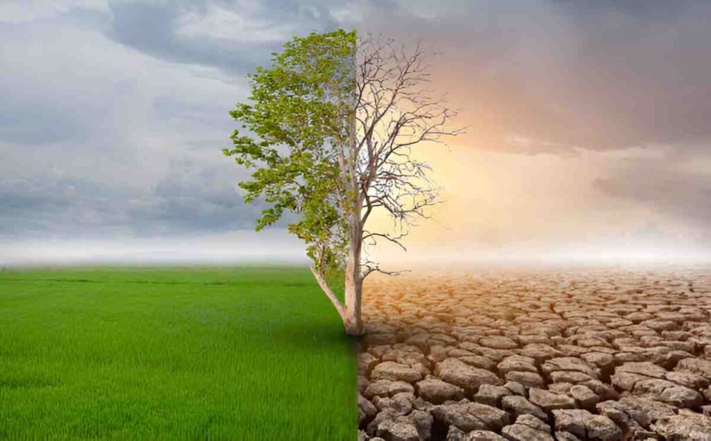Climate Change