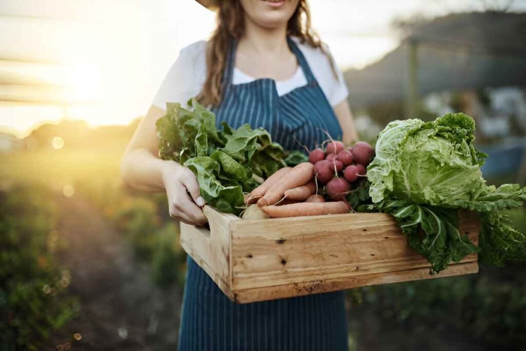 Gardening for All Seasons