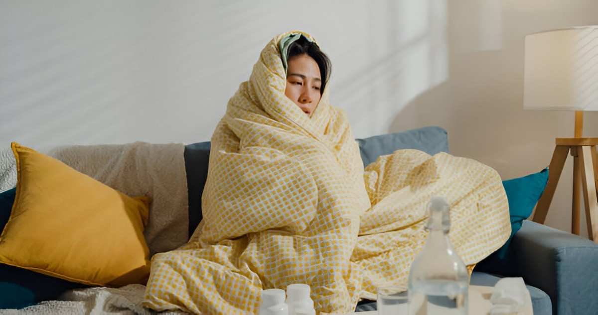 Best Heated Blankets for Cold Weather A Comprehensive Buying Guide