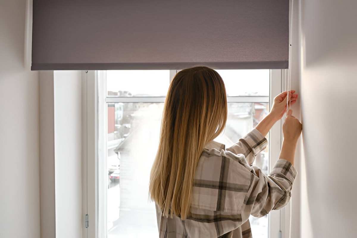 Best Smart Window Shades