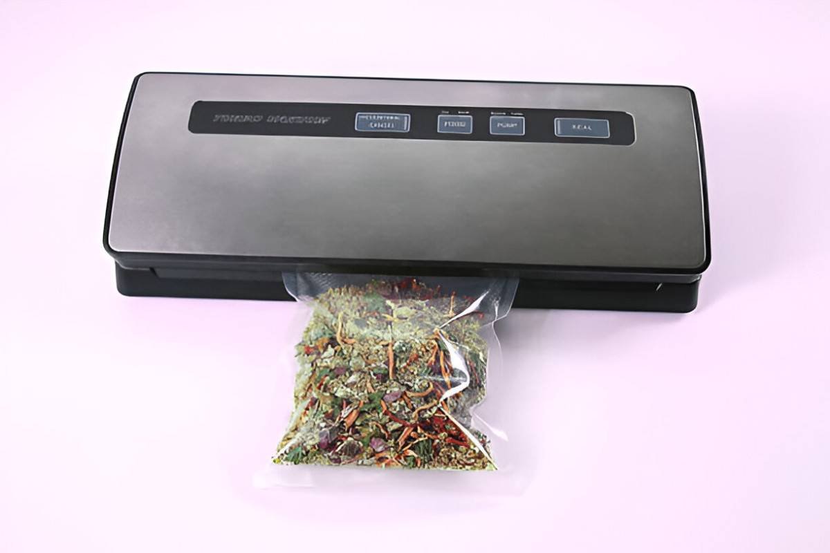 Best Vacuum Sealers