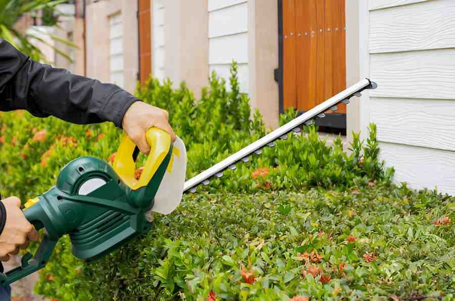 Buying Guide for the Best Cordless Electric Hedge Trimmers for Small Gardens