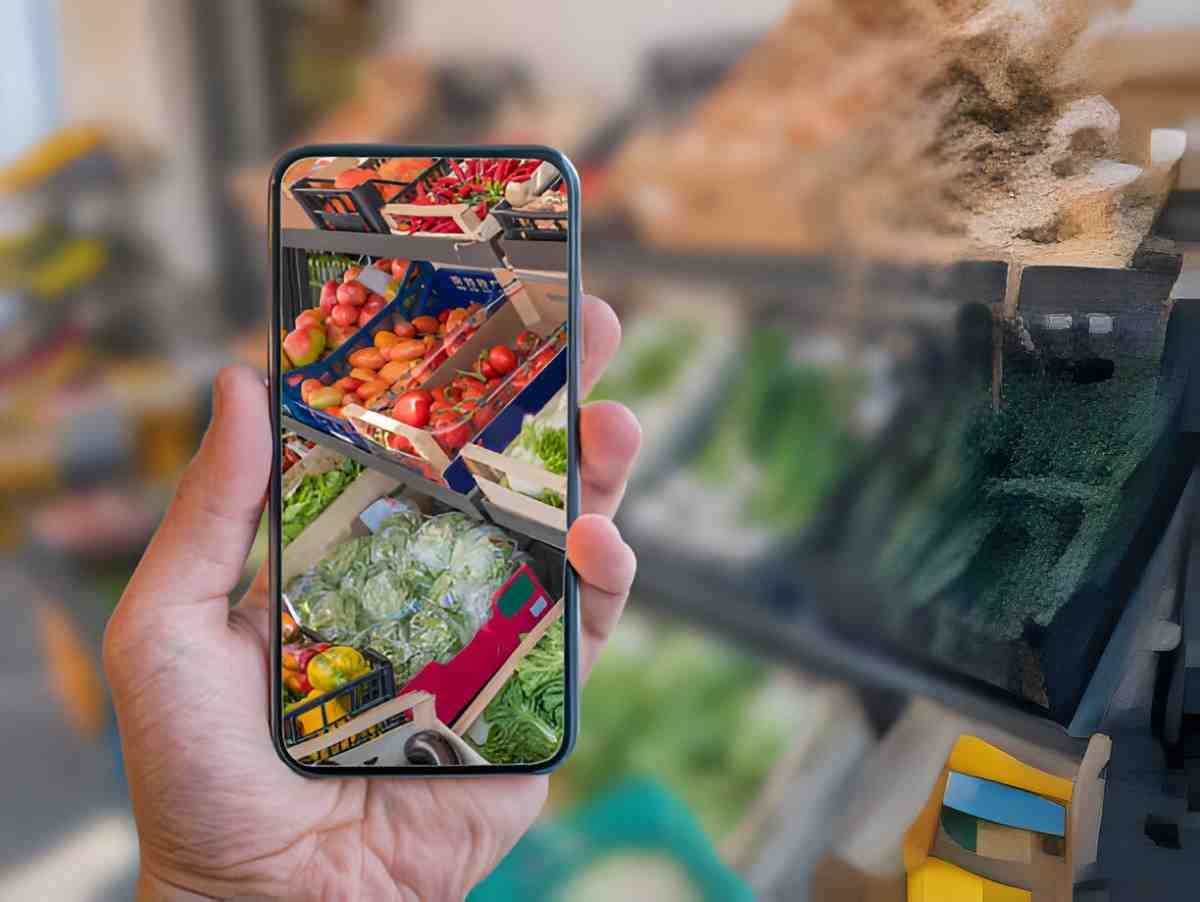 Discovering the Best Apps for Finding Sustainable Products