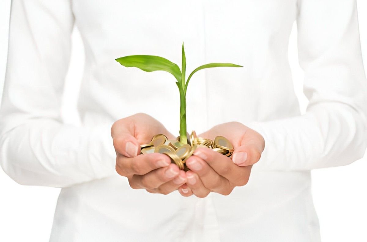 Eco-Friendly Corporate Gift Ideas for Green Businesses