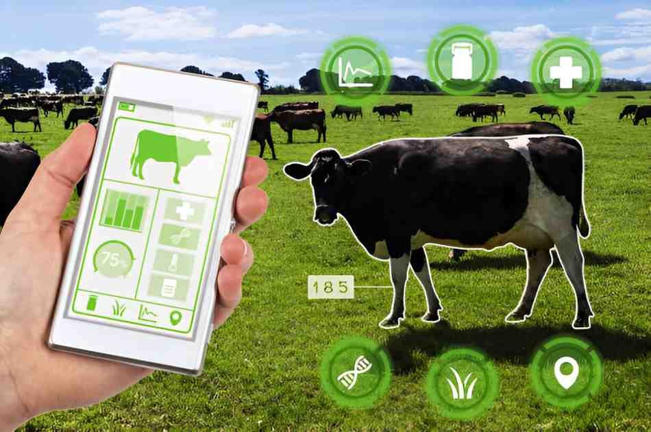Essential Apps for Wildlife Conservation Efforts