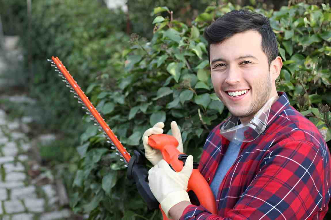 How to Choose the Best Cordless Hedge Trimmers A Detailed Guide