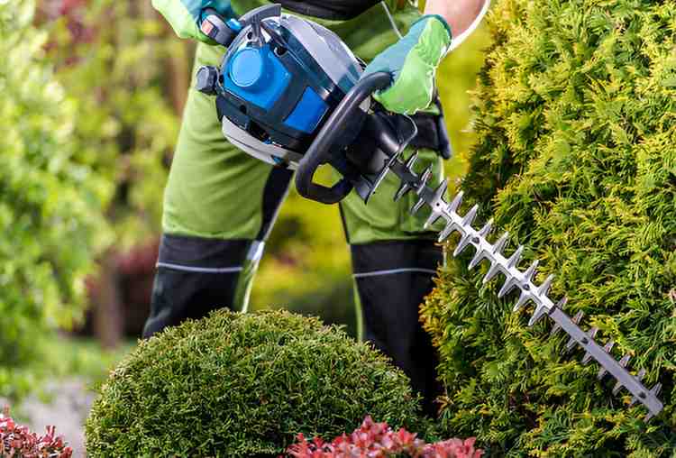 How to Choose the Best Electric Hedge Trimmers A Guide