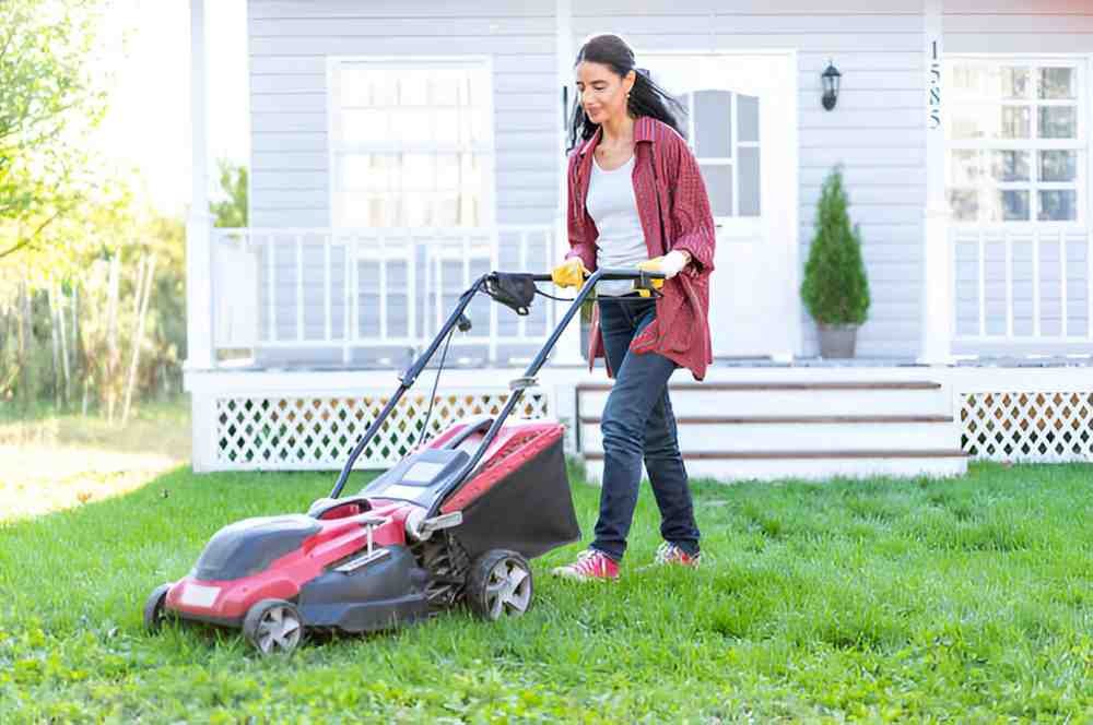 Right Lawn Mower for Your Yard