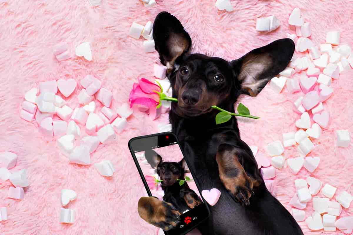 Best Tech Gift Ideas for Pet Lovers A Comprehensive Guide