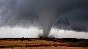 how many people died in the joplin tornado