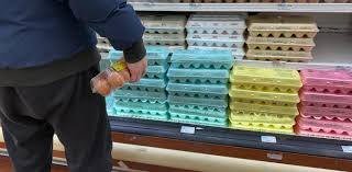 eggs prices