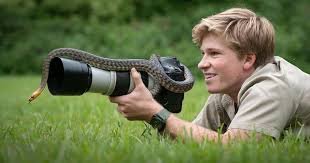 robert irwin